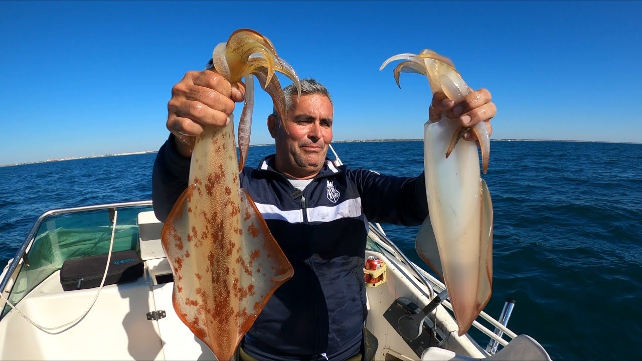 Presentar Instruir congestión lᐈ Donde Pescar Calamares en Cádiz 2022 ♻️ El Mirador del Valle