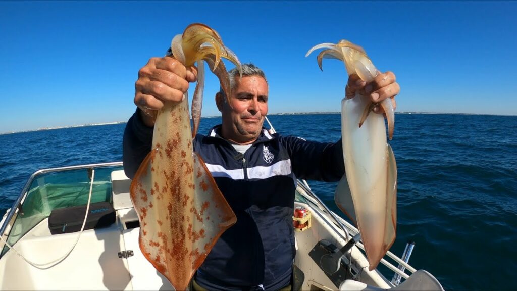 Donde Pescar Calamares en Cádiz