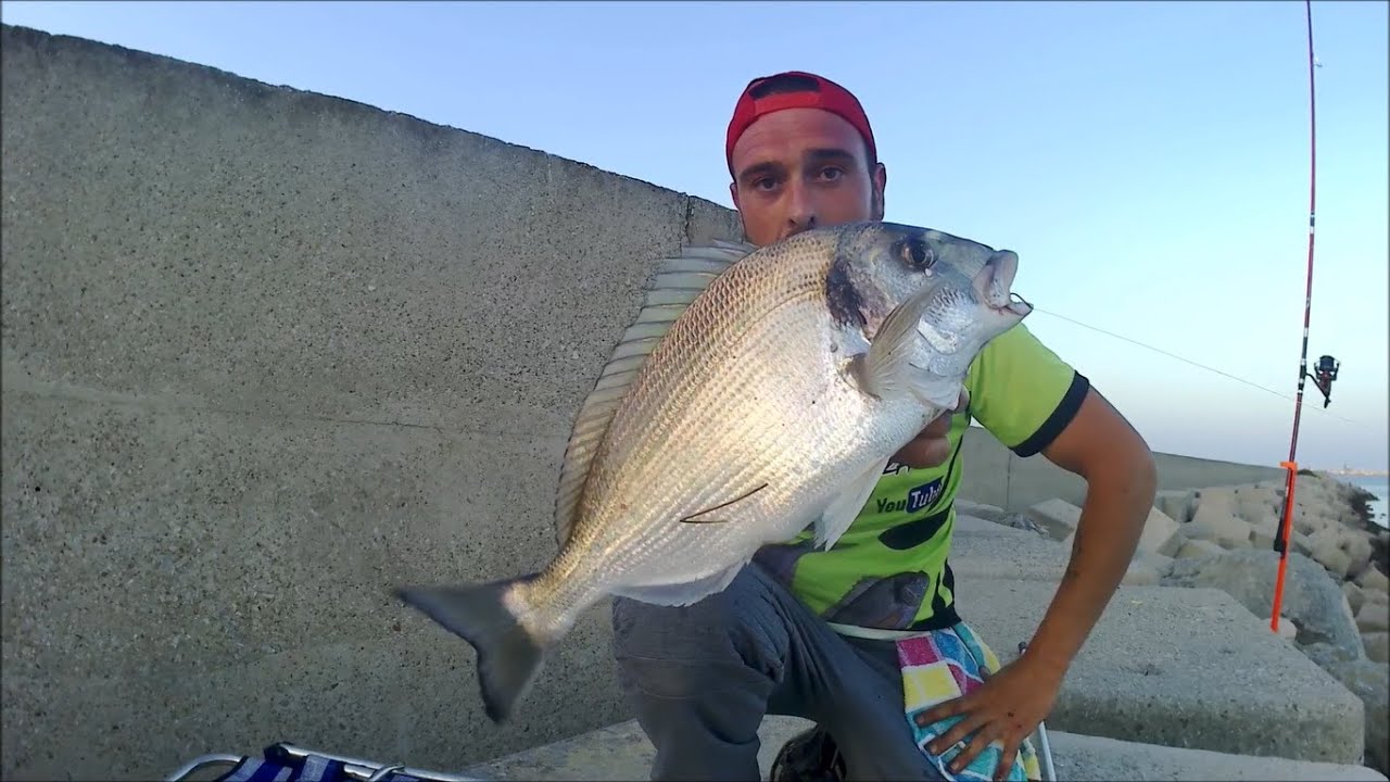 Donde Pescar Doradas en Cádiz