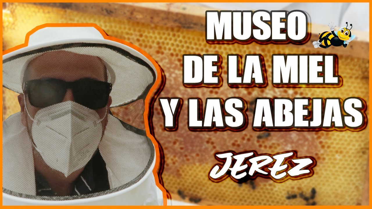 Museo de la Miel y las Abejas Rancho Cortesano