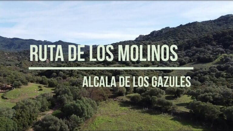 Ruta de los molinos Alcalá de los Gazules